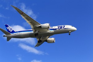ANA Boeing 787-881 f/10 1/200 ISO-100 55mm