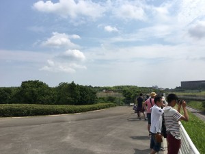 さくらの山公園