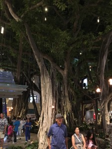 International Market Placeの中にある樹木