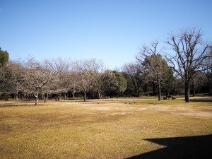 入口すぐの広場