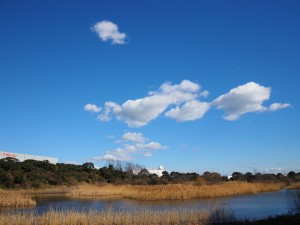 水場