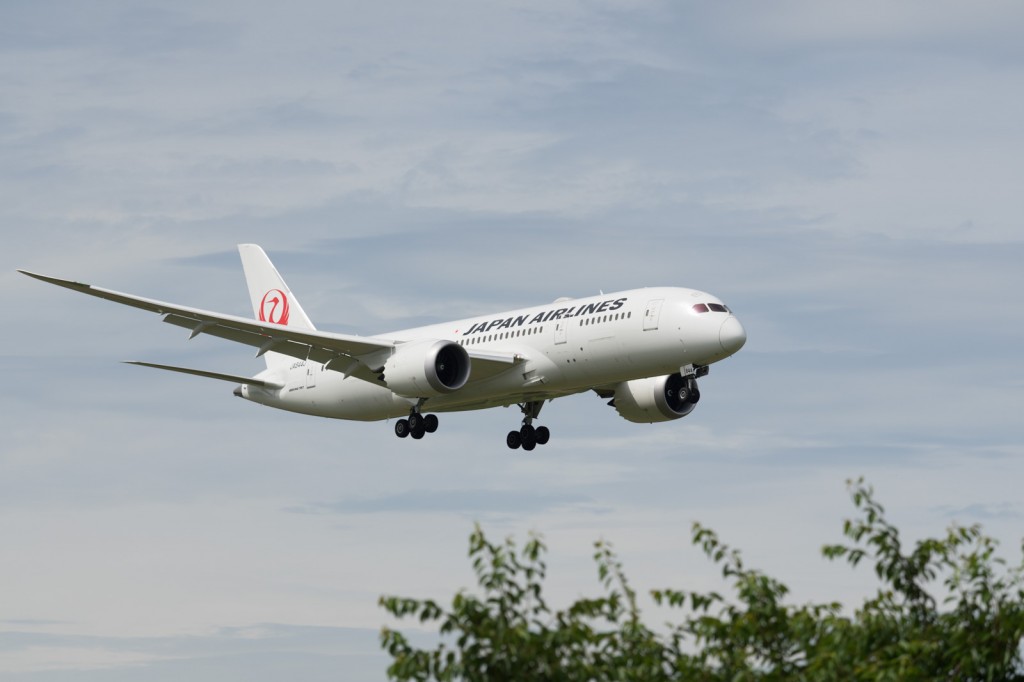 JAL B787