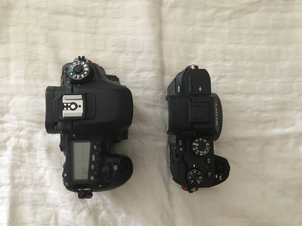 EOS 80D（左）とα7II（右）：上面