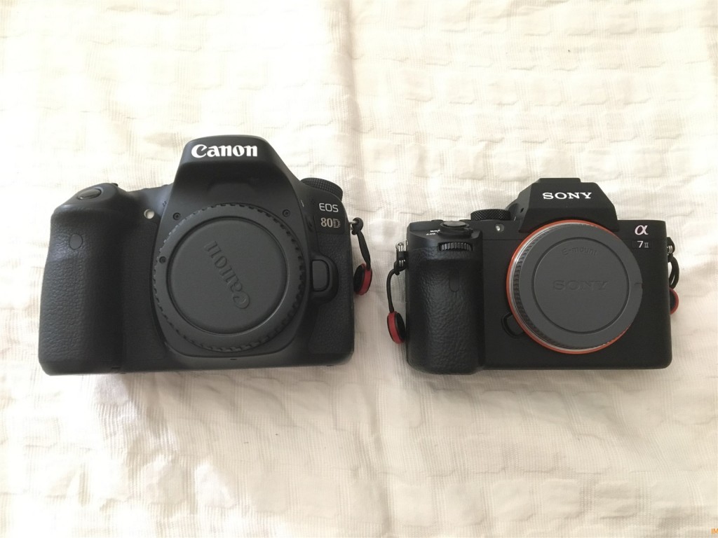 EOS 80D（左）とα7II（右）：正面