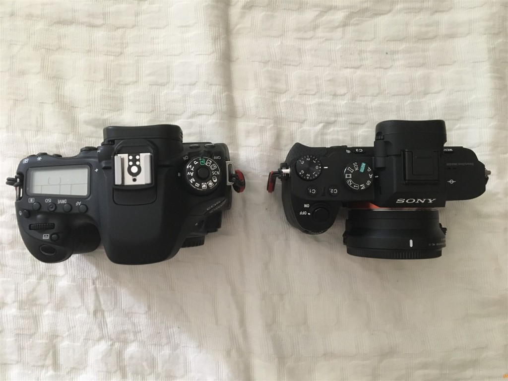 EOS 80D（左）とα7II＋MC-11（右）