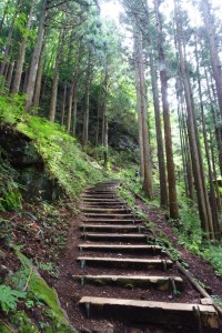 日の出山に向けて登ります