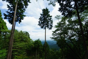 日の出山山頂からの下山途中で少し開けた場所